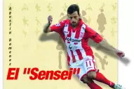 Agustín Domenez, el Sensei