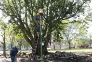 Revalorizan la plaza Cossio, en el barrio Padilla