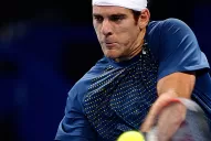 Del Potro venció a Baghdatis en Basilea