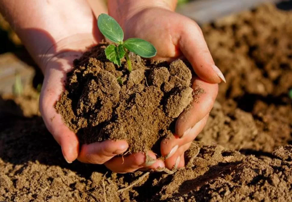 EL BIEN MÁS PRECIADO. Preservar la humedad del suelo es uno de los objetivos más importantes que todo productor agrícola debe alcanzar, para asegurar el crecimiento y productividad de sus emprendimientos agropecuarios. 
