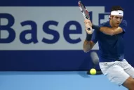 Del Potro ganó y jugará la final