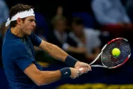 Del Potro le ganó a Federer y se quedó con la copa ATP 500 de Basilia