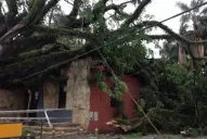 Cayeron más de 30 árboles en Yerba Buena y hubo caos de tránsito