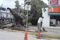 El intendente dice que por milagro no hubo muertos y que nunca vio algo igual