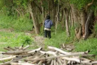 Dos chicas secuestraron a un niño de seis años en Trancas