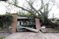 Pasó la tormenta y la pregunta es ¿qué me cubre el seguro?