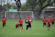 Por la consolidación