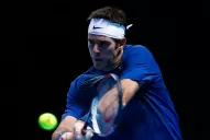 Del Potro cayó ante Djokovic en el Máster de Londres