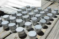 Cospeles: sus días están contados: en dos semanas dejarán de circular