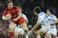 Los Pumas cayeron por 40 a 6 antes Gales