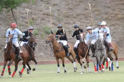 Avanzan a paso firme