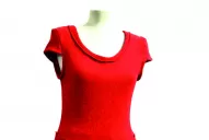 El carnaval se cuela en diseños tucumanos