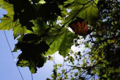 Una jornada a pleno sol