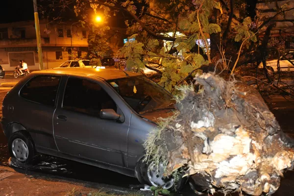 Se vienen tormentas con más viento que agua, un fenómeno al que habrá que acostumbrarse