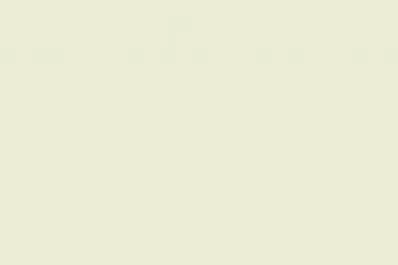 Alegato en contra de los animadores infantiles