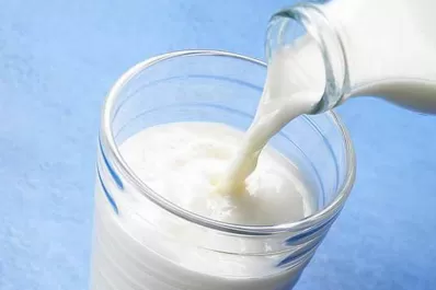 Ingresaron U$S 100 millones por exportación de leche maternizada