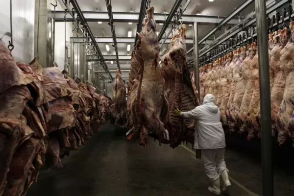 Uruguay y Paraguay exportan más carne que la Argentina