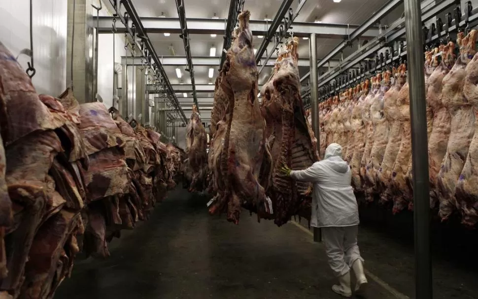 CRISIS. La carne argentina es de calidad, pero perdió muchos mercados. LA GACETA / ARCHIVO