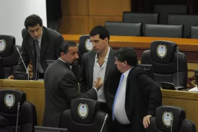 Legisladores del PJ no ocultan su simpatía por el massismo, y desafían a Alperovich