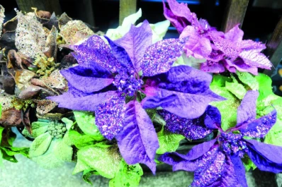 El violeta y los objetos de lujos suben al arbolito