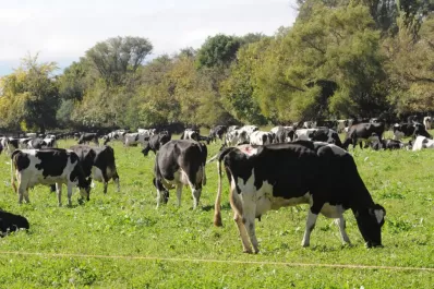 “La mejora de precios ayuda, pero el sector espera que haya lluvias y tengamos pasturas”