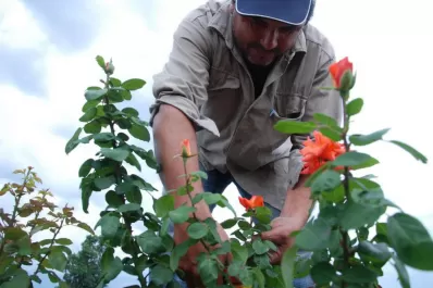 Llegan fondos para una cooperativa del plan para Agricultores Familiares
