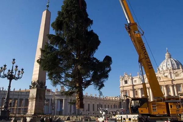El árbol de Navidad es señal de luz divina, dijo el Papa Francisco