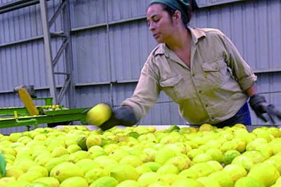 El mercado esperaba un cambio en la inflación