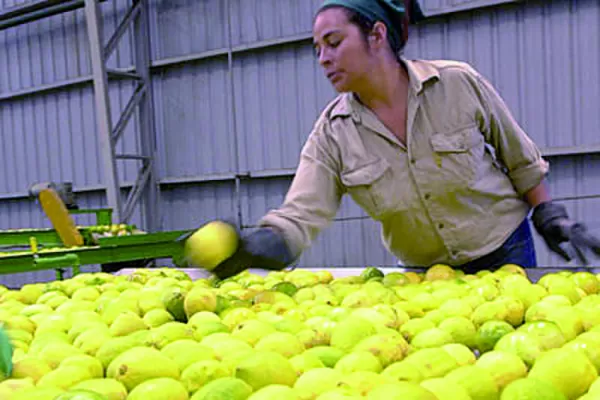 El mercado esperaba un cambio en la inflación