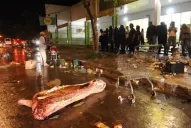 Los saqueos y el fantasma de Hobbes