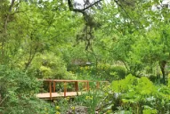 Caminatas por lo profundo del Delta