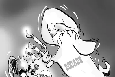 “Es una locura pensar en emitir bonos”