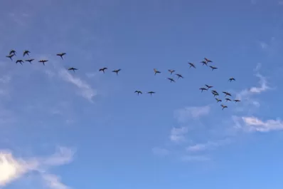 Doce caminos para recorrer La Rioja a pie