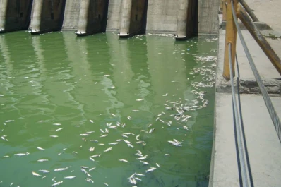 El embalse de Termas de Río Hondo está en situación crítica por la sequía