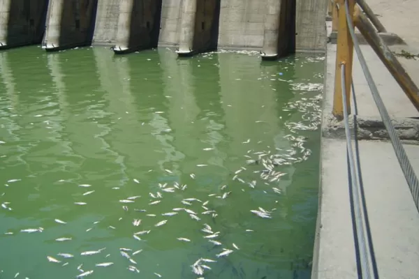 El embalse de Termas de Río Hondo está en situación crítica por la sequía