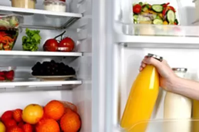 Sin luz, ¿qué hacés con la comida de la heladera?