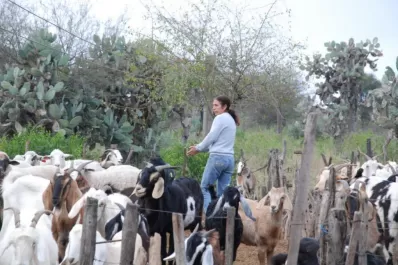 Se constituyó la Mesa de Sanidad Animal y Zoonosis