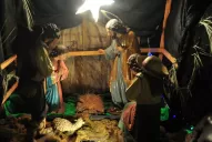 Devolvieron la oveja robada del pesebre de la iglesia San Francisco