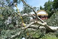 Simoca aún intenta recuperarse de un tormentoso final de 2013