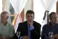 Massa quiere sumar a la UCR a una gran alianza electoral