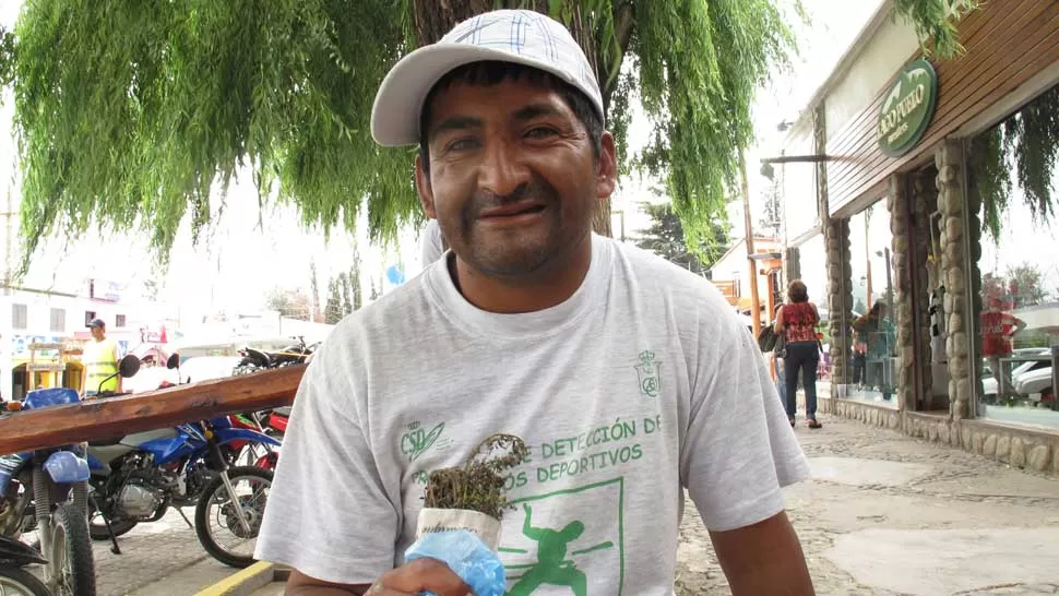 PERSONAJE INDISCUTIDO. Miguel Álvarez sonríe y muestra el atadito de hierbas que ofrece en la villa. la gaceta / foto de irene benito