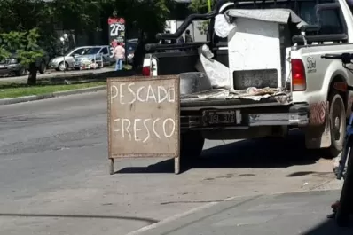 Festival de furtivos en el Sur