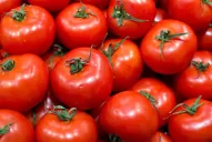 La Presidenta ordenó que se importen tomates y desató una polémica con los productores