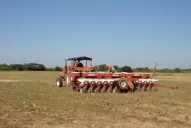 Sugieren evitar las implantaciones tardías, porque pueden aparecer heladas tempranas