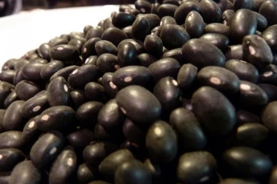 “Está la idea de sembrar, pero esperamos que se registren mejores lluvias”