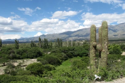 Ampimpa y Los Zazos programan festivales para el fin de semana