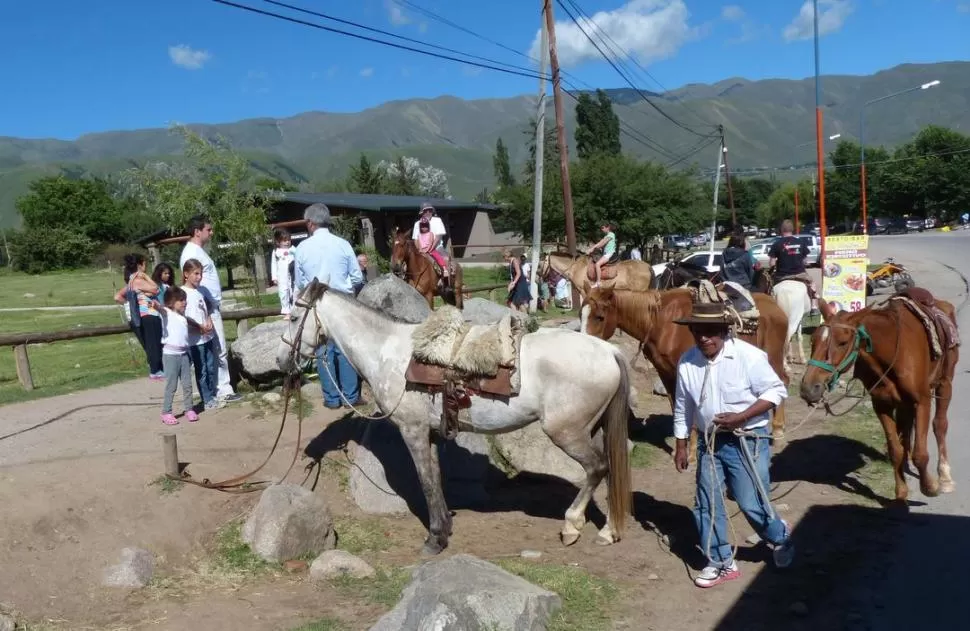 EL PATRÓN EN ACCIÓN. Santos Casimiro acomoda sus caballos de alquiler en la esquina de Critto y Chenaut. la gaceta / foto de osvaldo ripoll