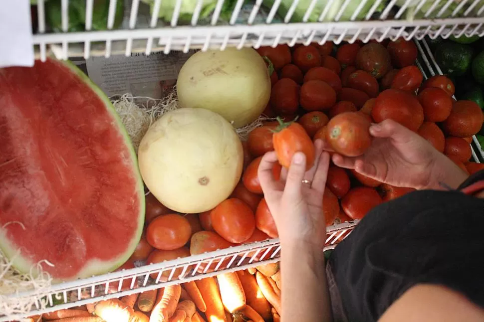 PROVISIÓN. Según referentes de la cadena productiva y comercial, en Tucumán hay sobreoferta de tomate. la gaceta / archivo