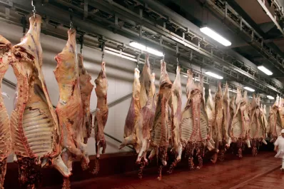 El campo pide reabrir la exportación de carne y eliminar las retenciones