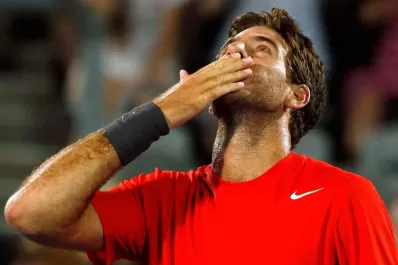 Berlocq: Sin Del Potro hay pocas chances de ganar la Davis